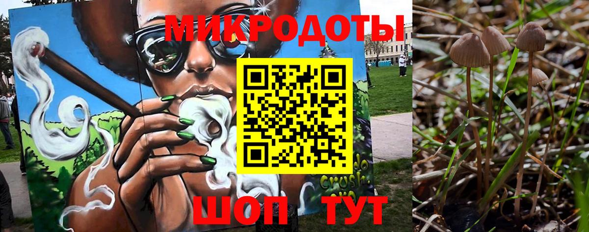 Можга  Галлюциногенные грибы мухоморы  Вход с VPN 