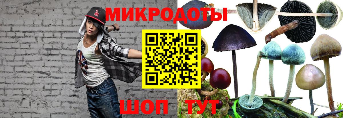 Гашиш Можга