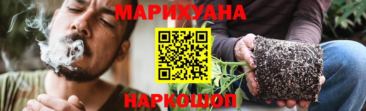 Конопля White Widow Можга